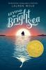 Book cover for "Beyond the bright sea"