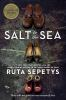 Book cover for "Salt to the sea"