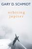 Book cover for "Orbiting Jupiter"