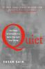 Book cover for "Quiet"